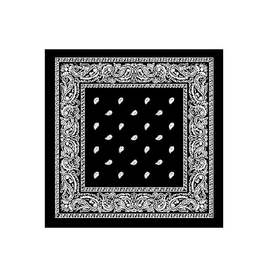 Black Paisley